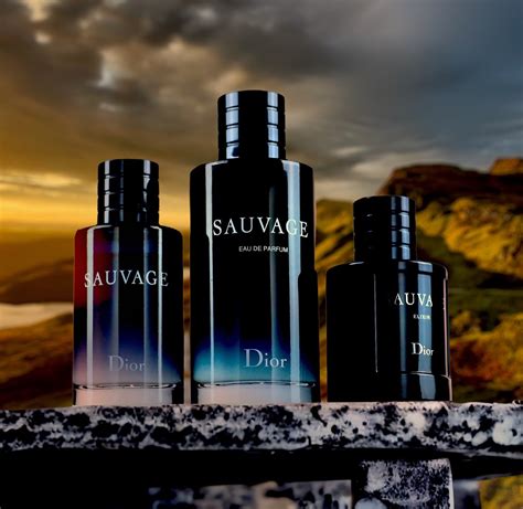 Discover Sauvage 